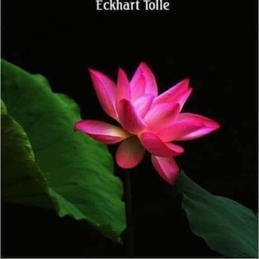 Meet your Posher, Ed